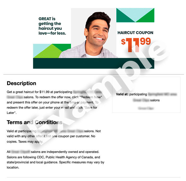 Detail with a description and terms with a promotion and expiration date field.